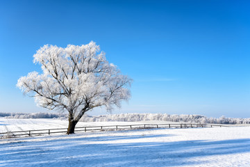 Landschaft in Masuren im Winter