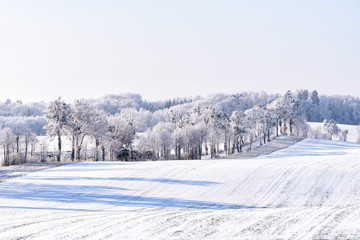 Fototapeta na wymiar Landschaft in Masuren im Winter