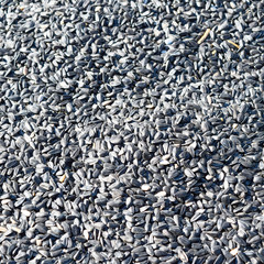 Background of sunflower seeds