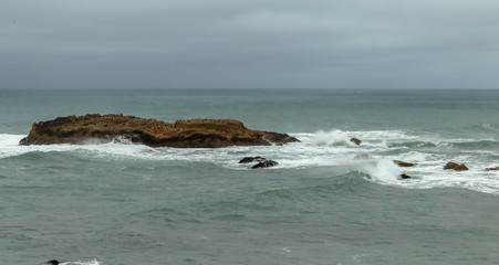 Beautiful rocks formations with birds on the Pacific Ocean near Half Moon Bay, California, in foggy day