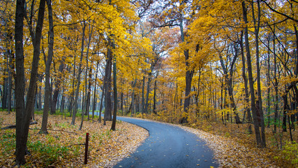 Obraz premium Autumn colors at the arboretum