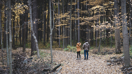 Autumn colors at the arboretum