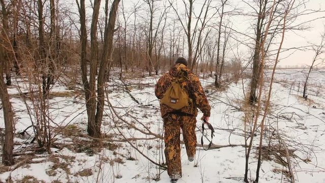 Winter hunting for hares. Hunter With A Catch, Wild Hare. People with Shotgun looking for prey. 
