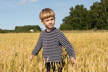 Naklejka na ściany i meble Little boy on a wheat field. Nature in the country. Fresh air, environment concept