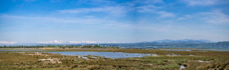 Panoramic view of the Isola della cona natural reserve, Italy