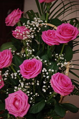 bouquet of pink roses