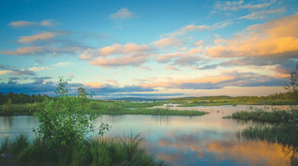 Fototapeta na wymiar Summer sunset on a marshy lake
