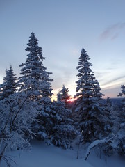 Fototapeta na wymiar Snowy landscape in the Ural mountains. Russia