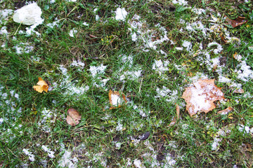 snow on green grass