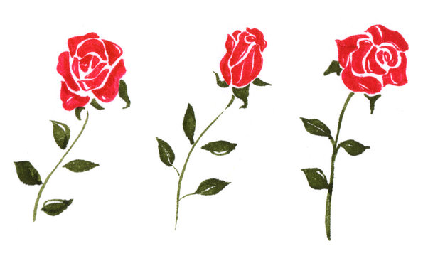 薔薇のイラスト　赤色
