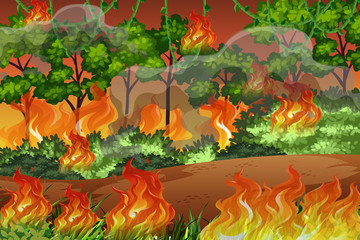 Fototapeta na wymiar Fire in the forest