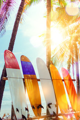 Many surfboards beside coconut trees at summer beach with sun light and blue sky background.