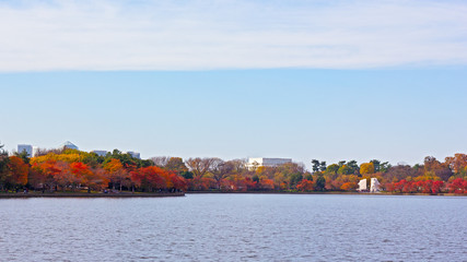 Washington DC panorama around Tidal Basin in autumn with a view on Memorials of Lincoln and Martin Luther King Jr. Beautiful urban landscape near the water in autumn.