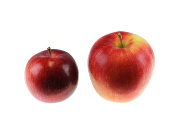 apples arrangement from small to large isolated on white background