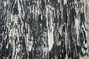 Grungy Black and white wall with heavily peeling paint