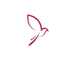 Dove bird Logo Template