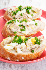 Fresh mackerel or tuna fish paste sandwiches on plate