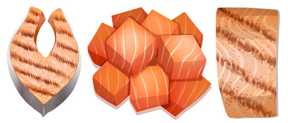 Set of salmon food