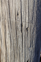 old wood texture background