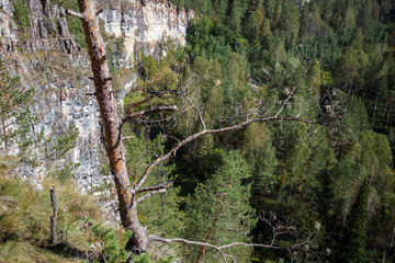 Obraz premium The forest near the cave Ignatievskaya