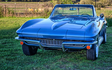 Vintage, classic sports car convertible parked by Texas countryside pasture with livestock at sunset