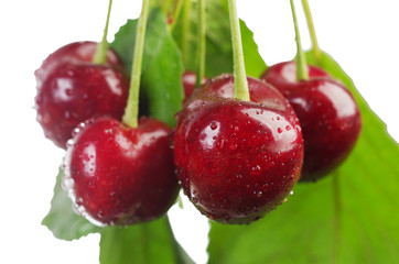 Sweet cherry berries with leaves on a white background. Isolated