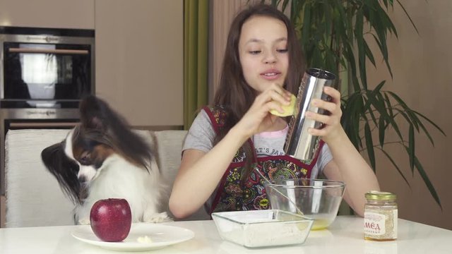 Teen girl with dog Papillon prepare cookies, knead the dough stock footage video