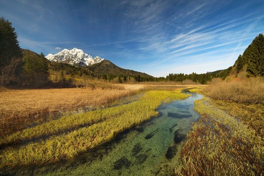 Source of the river Sava, nature reserve Zelenci, back north side of Triglav National Park, Julian Alps, Upper Ukraine, Slovenia, Europe
