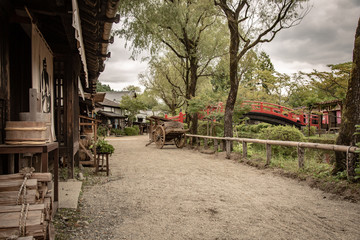 Fototapeta na wymiar Edo style village