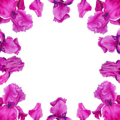 Flowers Irises watercolor spring Botanical design illustration greeting card invitation decoration