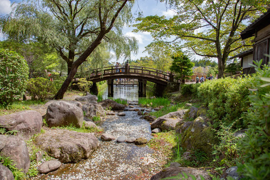 bridge in japanese garden