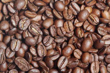 Coffee beans texture	