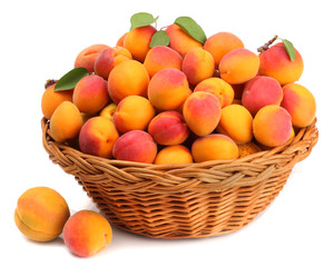 Apricots in a basket isolated on white.