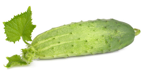 Green cucumber isolated on white background