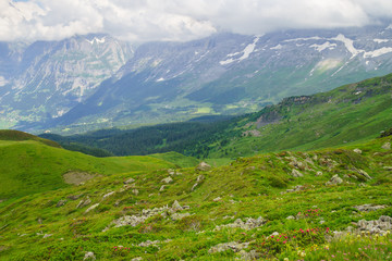 Fototapeta na wymiar Alpine peaks landskape background. Jungfrau, Bernese highland. Alps, tourism, journey, hiking concept.