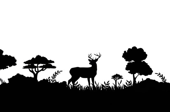 The shadow or silhouette of deer and trees in forrest on white background.