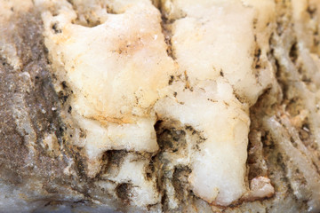 Stone textures close up