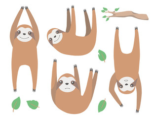 Collection of isolated funny cartoon style sloths tropical animal vector illustrations
