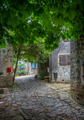 Mountain village Groznjan, Istria, Croatia
