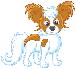 Small funny dog Papillon friendly smiling, vector illustrations in a cartoon style