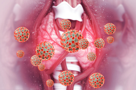 Virus infected thyroid gland