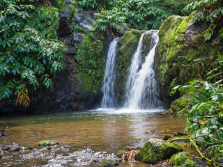Majestic waterfall in lush green forest at Nature Reserve Parque Natural da Ribeira dos Caldeiroes at Achada, Nordeste, Sao Miguel, Azores