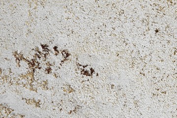 pretty vintage stone like stucco texture for any purposes.