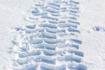 Fototapeta na wymiar Tracks of car wheels in the snow
