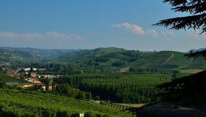 Fototapeta na wymiar Grinzane Cavour, Piedmont, Italy. July 2018. At the foot of the castle all around heavenly views of the vineyards