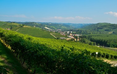 Obraz premium Grinzane Cavour, Piedmont, Italy. July 2018. At the foot of the castle all around heavenly views of the vineyards
