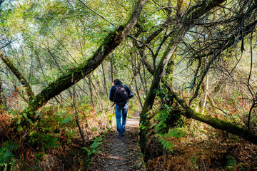 Fototapeta premium randonneur dans les chemins de randonnées