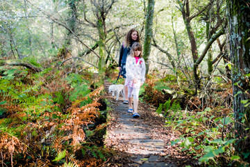 promenade le long de l'&eacute;tang noir dans les Landes