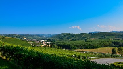 Fototapeta na wymiar Grinzane Cavour, Piedmont, Italy. July 2018. At the foot of the castle all around heavenly views of the vineyards