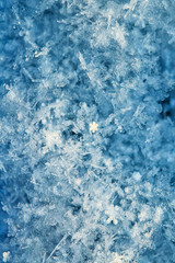 Fototapeta na wymiar background of many snowflakes of various shapes and texture shimmer in the sun on a clear winter day